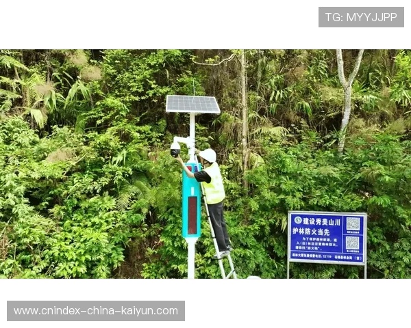 人工智能助力森林防火监测实现实时预警与精准管理
